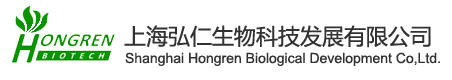网站Logo